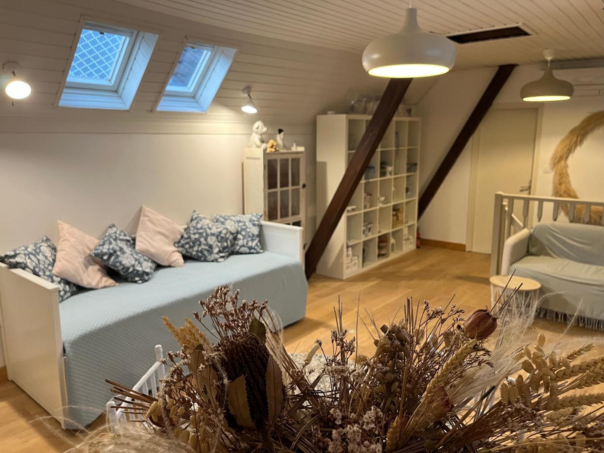 Etage Entier Prive, 45M2 Chez Regine Villa Schiltigheim Exterior photo